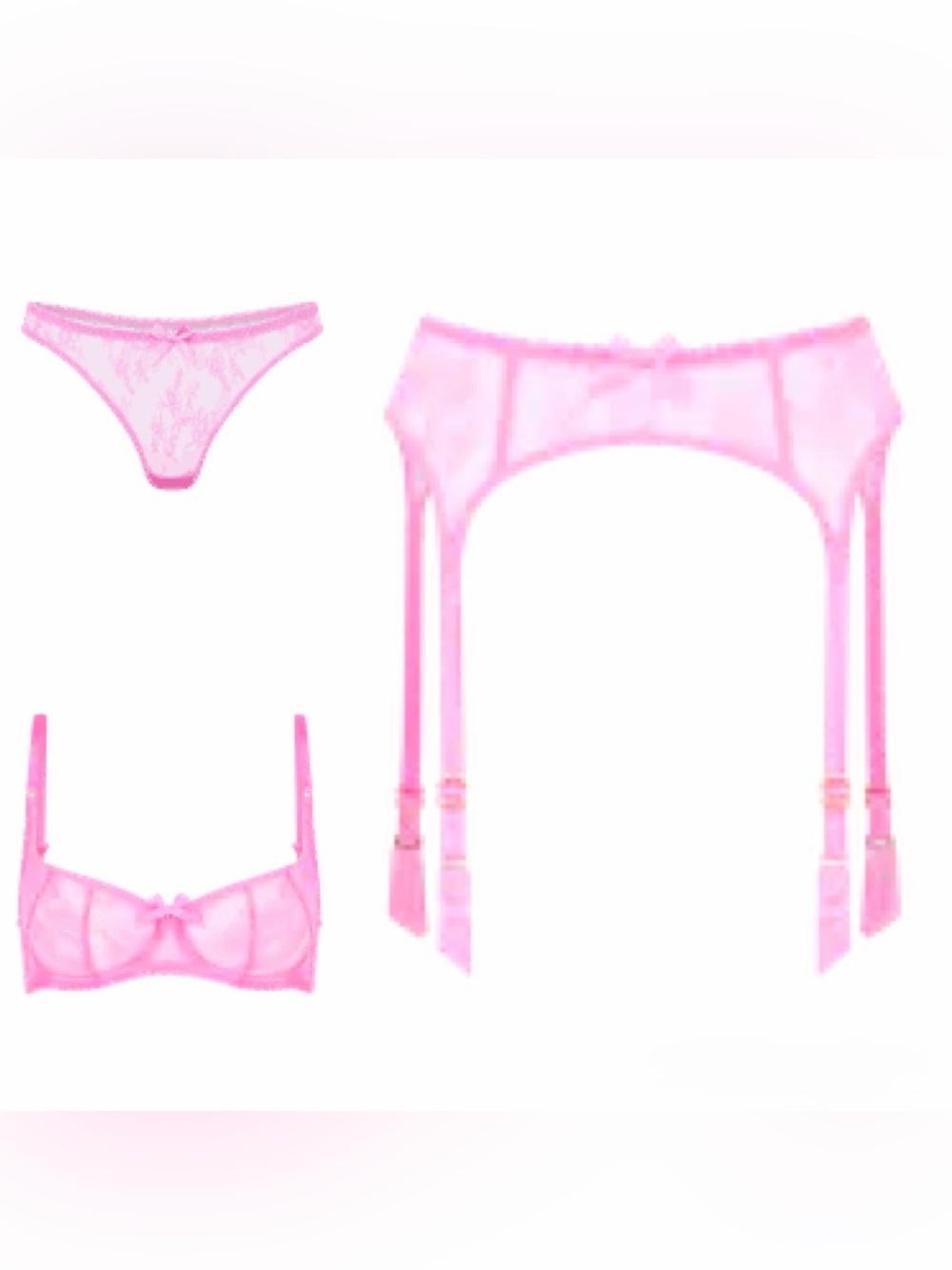 Pink Sheer Garter Belt and Lingerie Set